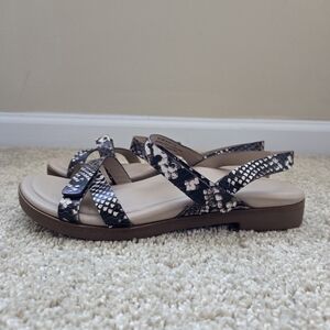 Stylish Women's Sandals with Snake Print